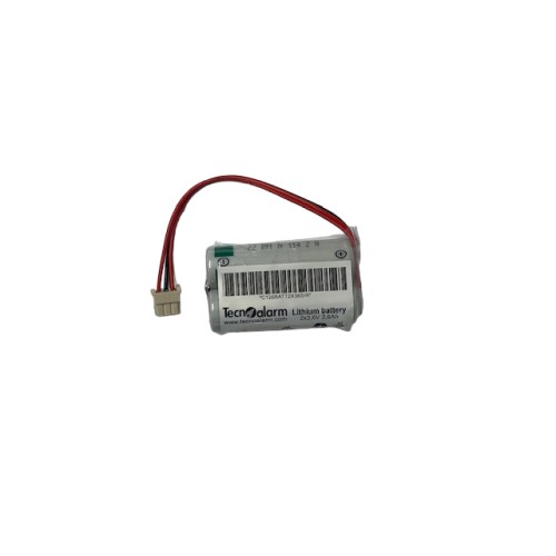 Lot de 2 piles AA 3,6 V/2,6 Ah