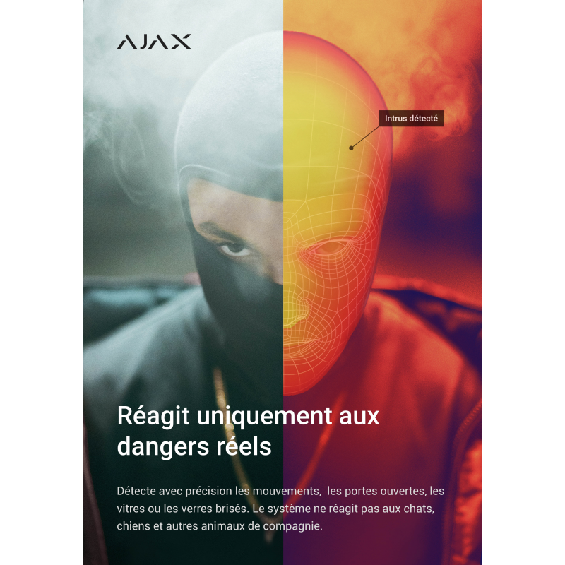 AJAX Poster - français