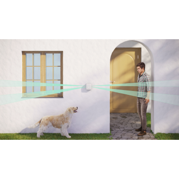 AJAX DualCurtain Outdoor - Bewegungsmelder für den Außenbereich Weiss AJAX DualCurtain Outdoor - Bewegungsmelder für den Außenbereich Weiss