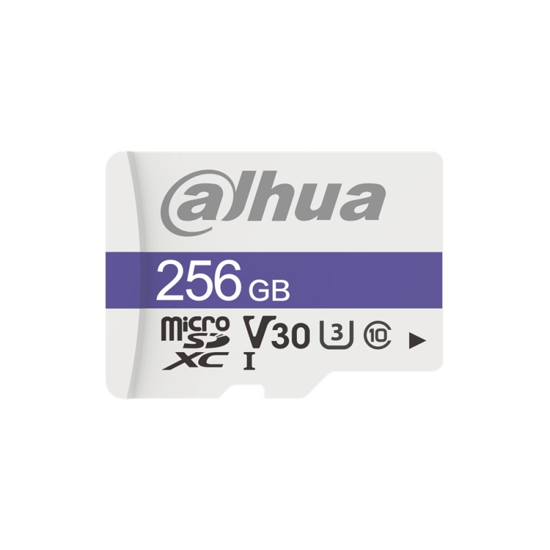 C100 carte mémoire microSD 256Go