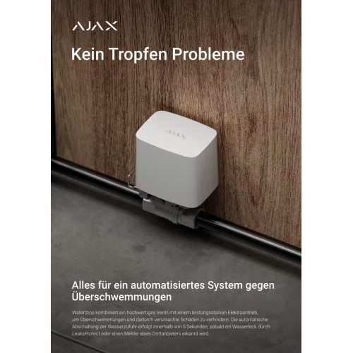 AJAX Poster - allemand