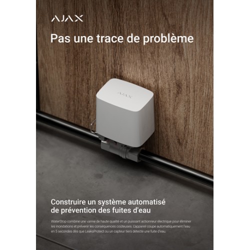 AJAX Poster - français